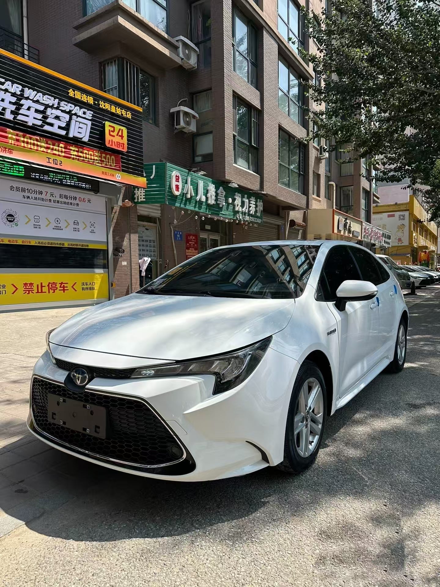 广汽TOYOTA-Levin
